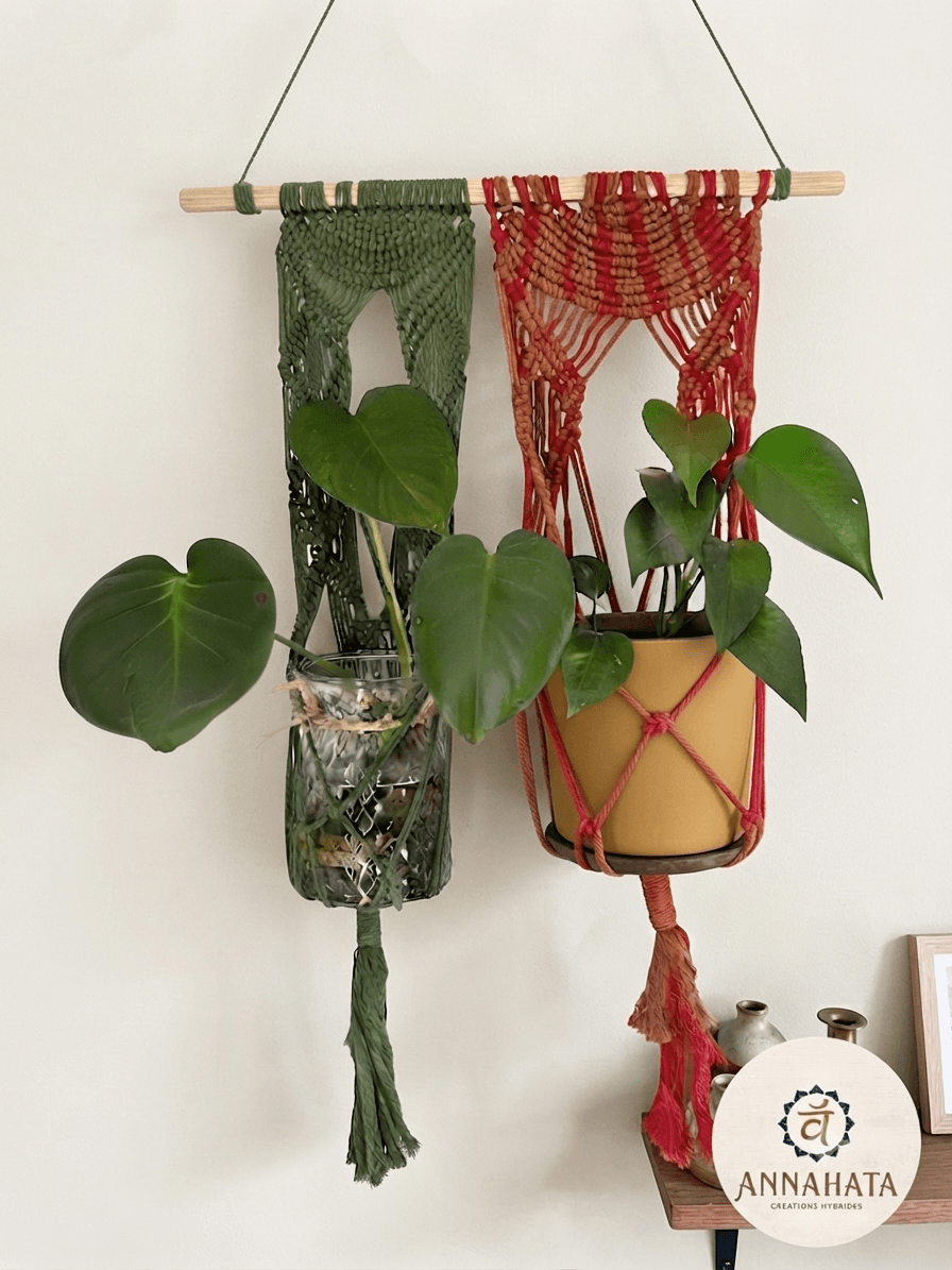 Double macramé tricolore
